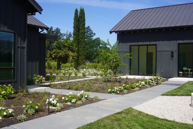 Vineyard House — 19 of 49