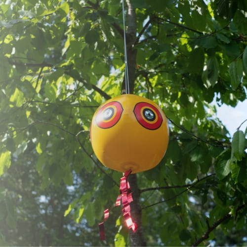 Yellow bird-shaped scare balloon with red eyes, hanging from tree branches.
