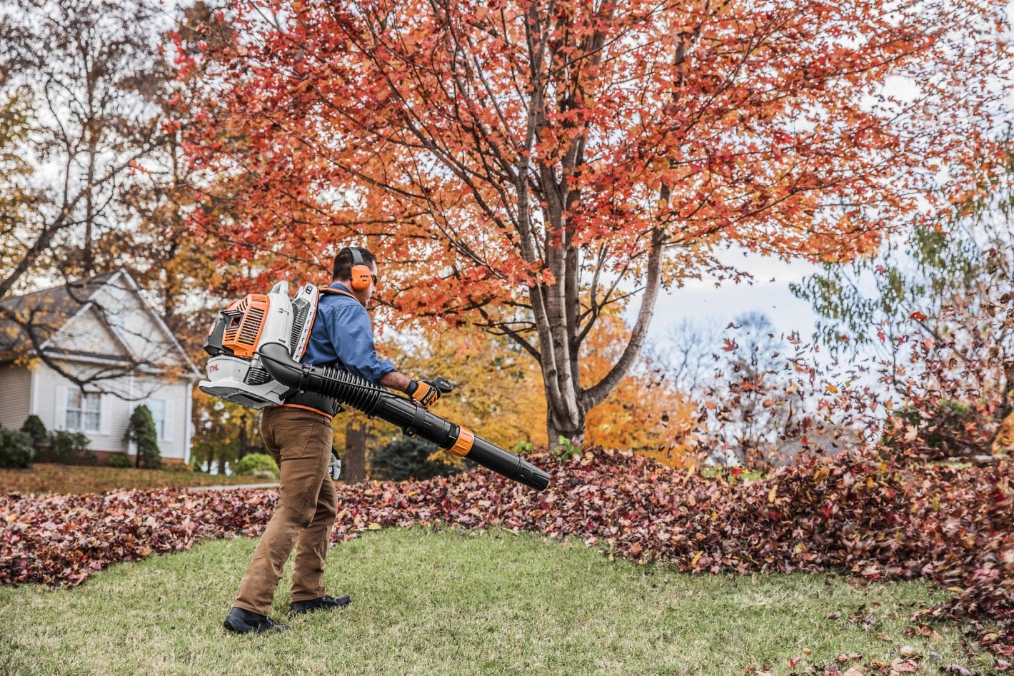 Man uses Stihl backpack leaf blower to clear autumn leaves from yard.